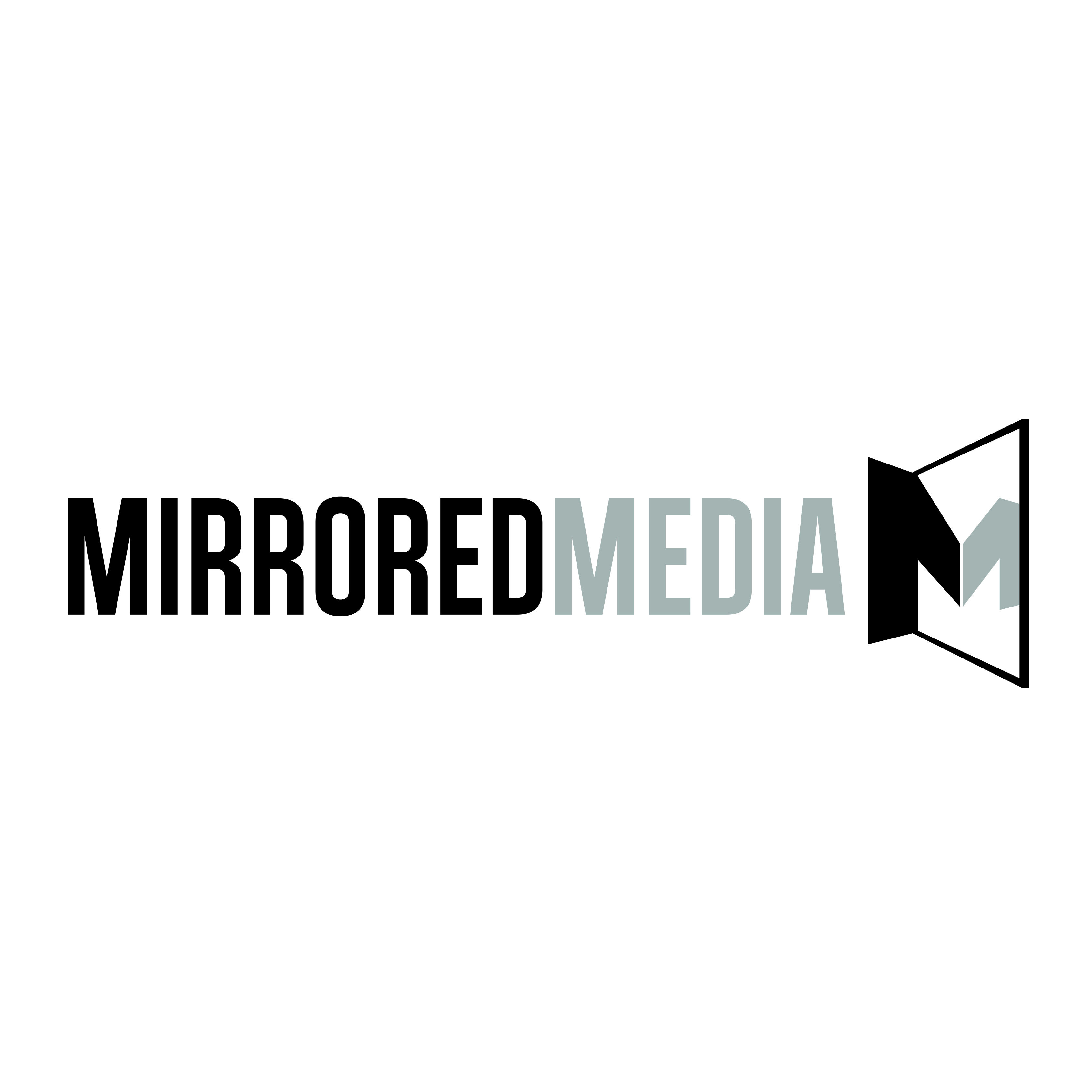 mirrored media